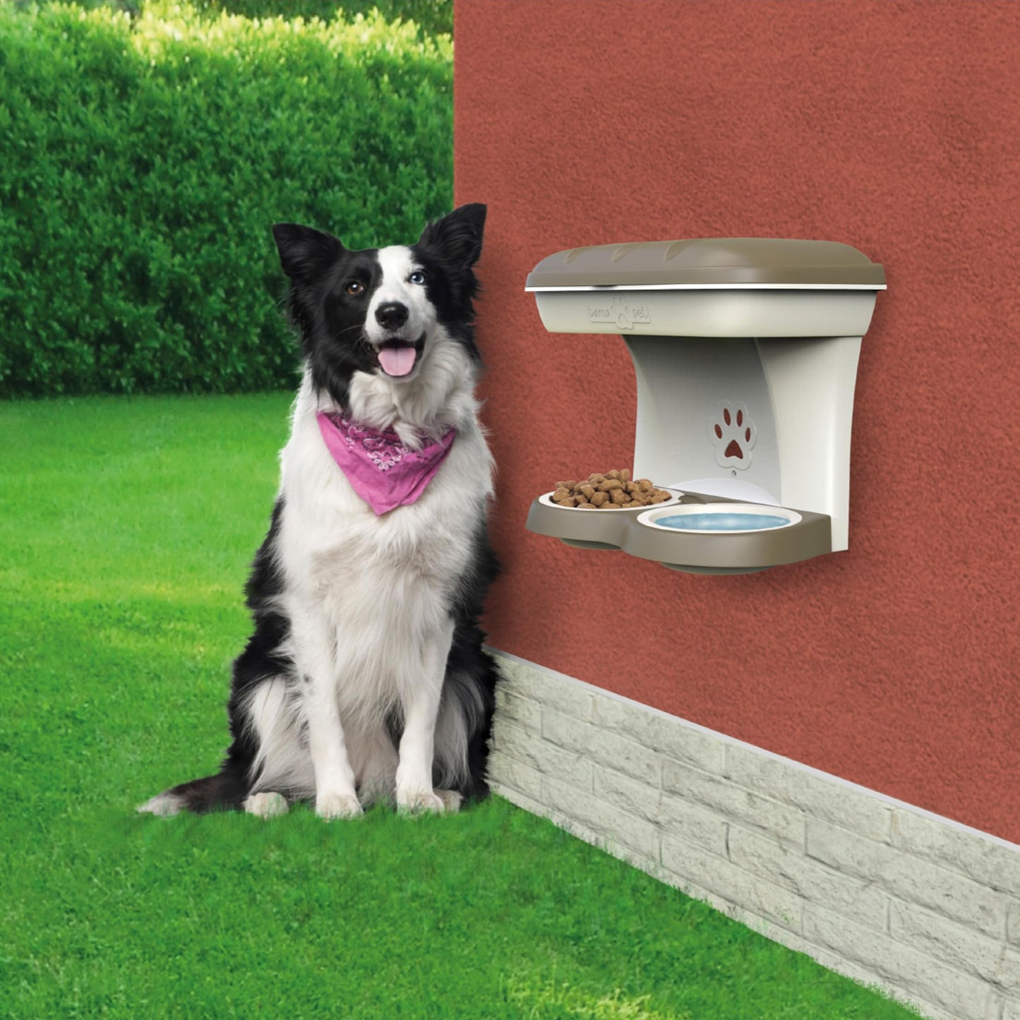Comedero Bama Pet - Soporte Elevado