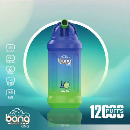 Bang TN12000 - 12,000 Puffs
