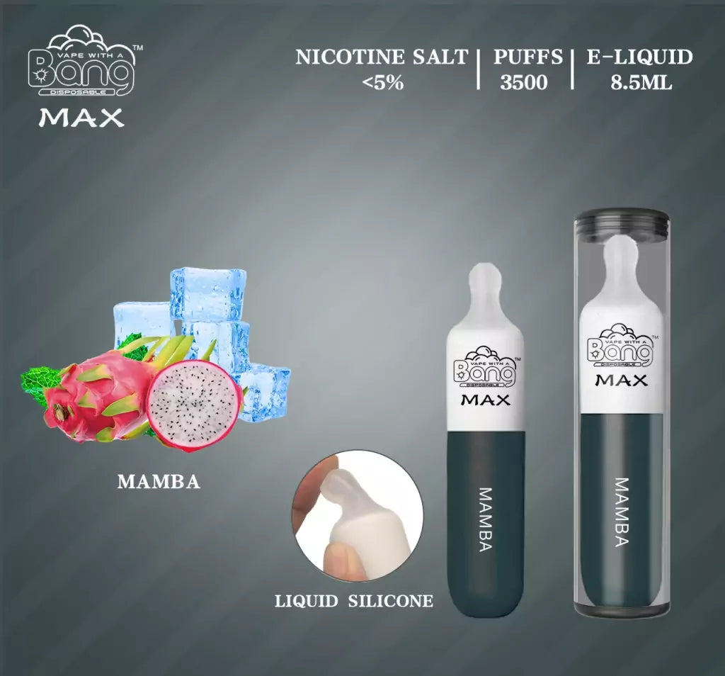 Bang Max - 5,000 Puffs