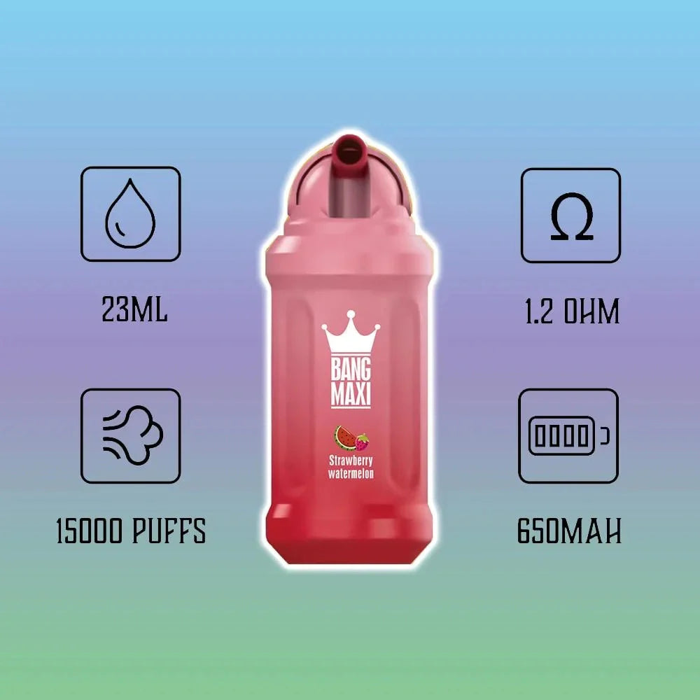 Bang Maxi  - 15,000 Puffs