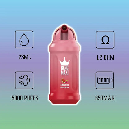 Bang Maxi  - 15,000 Puffs