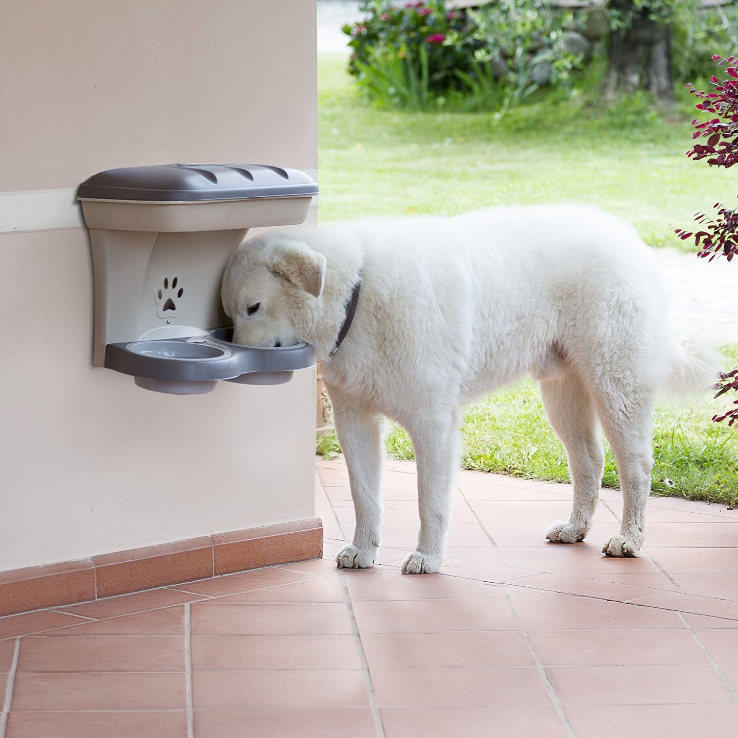 Comedero Bama Pet - Soporte Elevado