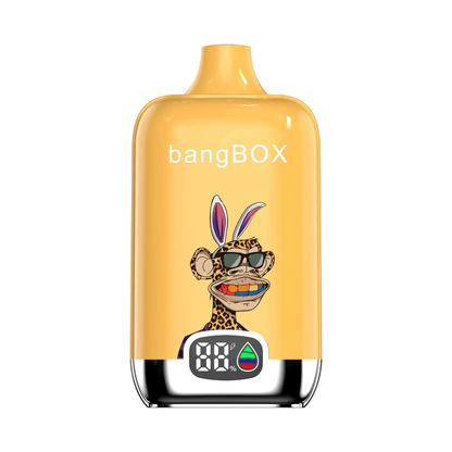 Bang BC15000 - 15,000 Puffs