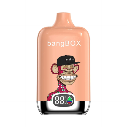 Bang BC15000 - 15,000 Puffs