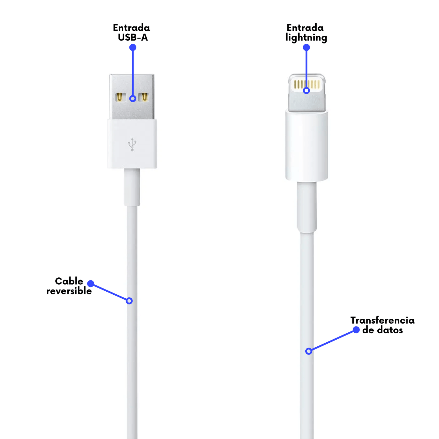 Cable Lightning a USB (2 m) - Apple