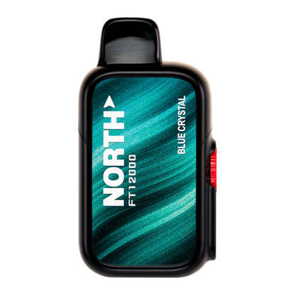 North FT12000 - 12,000 Puffs