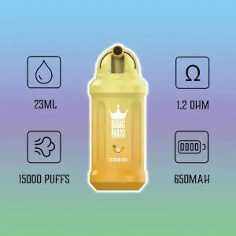 Bang Maxi  - 15,000 Puffs